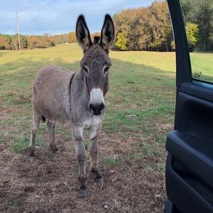 Meet your Posher, Jake